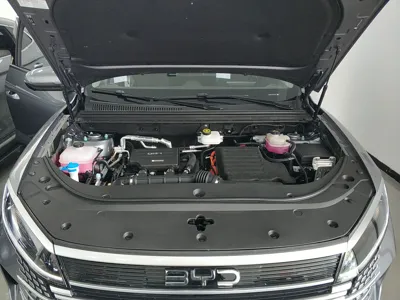 BYD Sea Lion 05