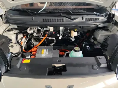 Wuling Bingo