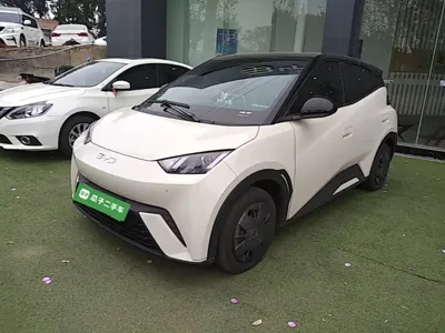 BYD Seagull