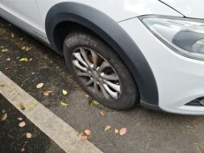 Qoros Qoros 3
