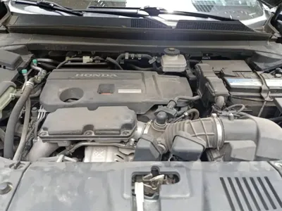 Honda UR-V