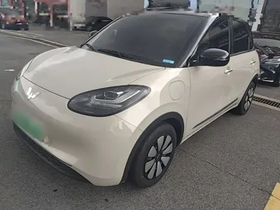 Wuling Bingo