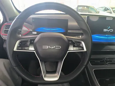 BYD 05