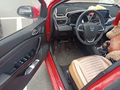 Baojun 310