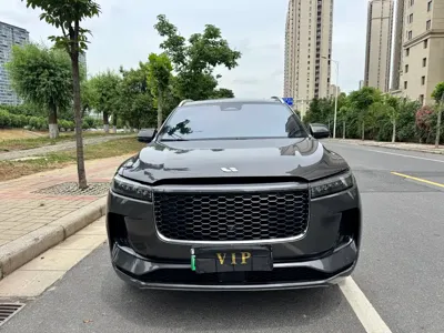 Li Auto Li ONE