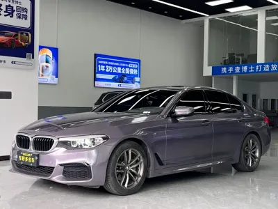 BMW 5 Series (Import)