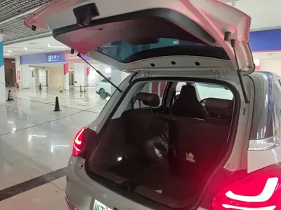 Wuling Bingo