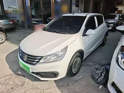 Baojun 310