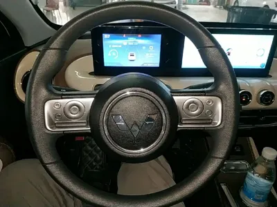 Wuling Bingo