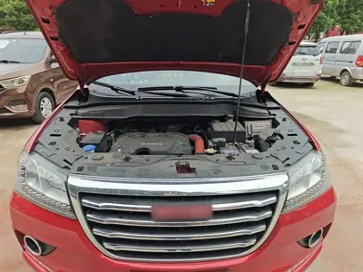 Haval H2