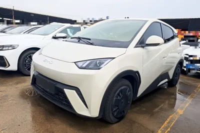 BYD Seagull