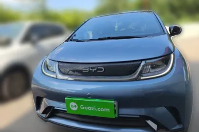 BYD Dolphin