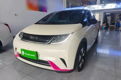 BYD Dolphin