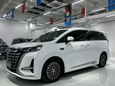Denza Denza D9