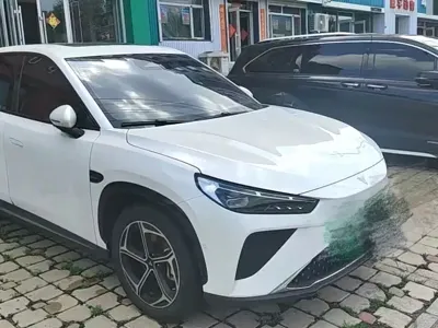 NETA Neta L