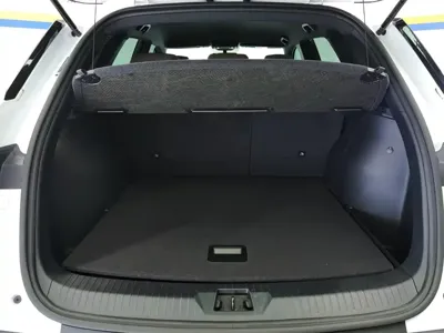 BYD Pro New Energy