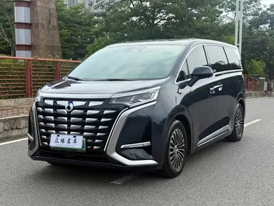 Denza Denza D9