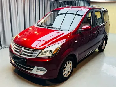 BAW Weiwang M20