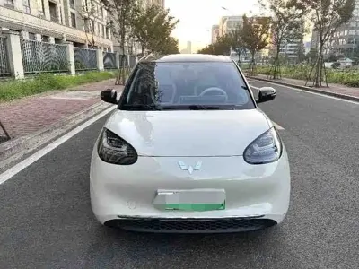 Wuling Bingo