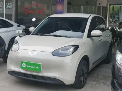 Wuling Bingo