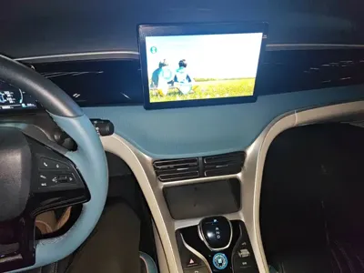 BYD Pro
