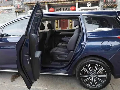 BYD MAX New Energy