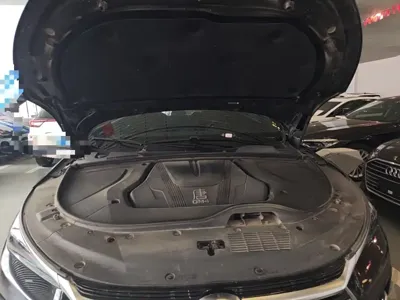 BYD Tang New Energy