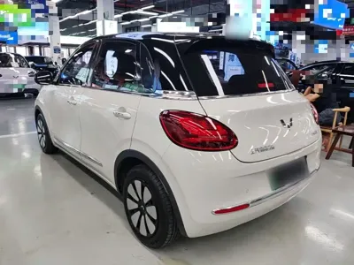 Wuling Bingo