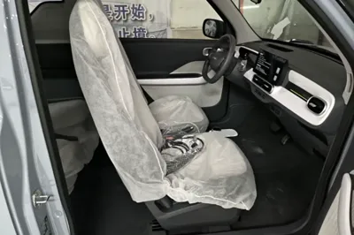 Geely Galaxy Panda