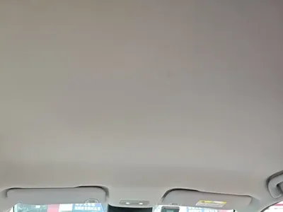 NETA Neta V
