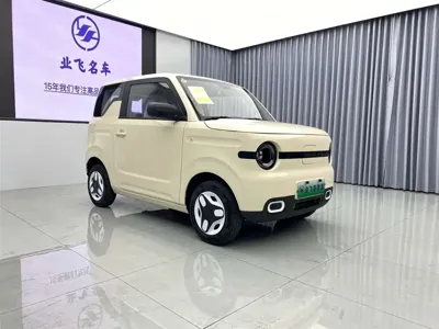 Galaxy Panda