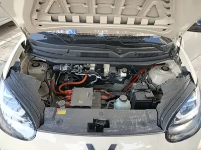 Wuling Bingo