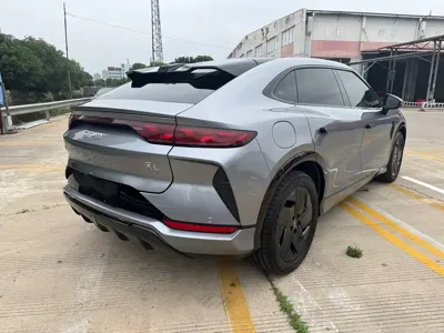 BYD L EV