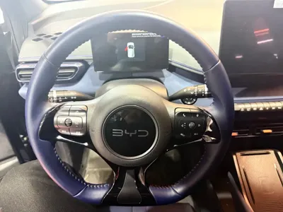 BYD Seagull