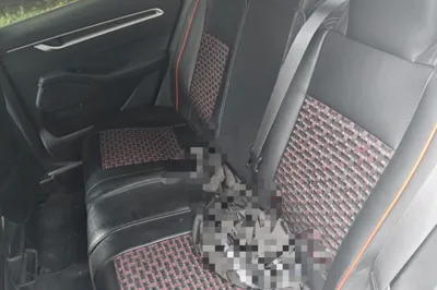 Geely Auto Emgrand