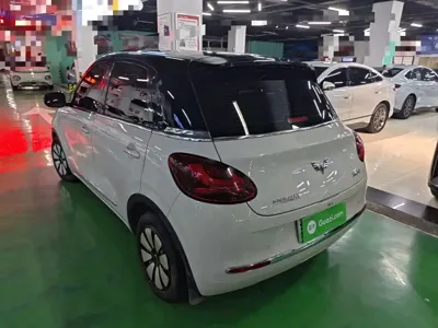 Wuling Bingo
