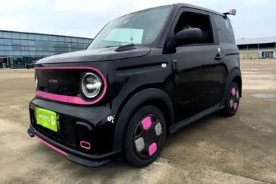 Geely Galaxy Panda