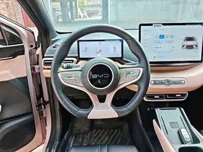 BYD Seagull