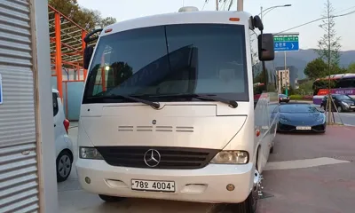 Mercedes-Benz Others