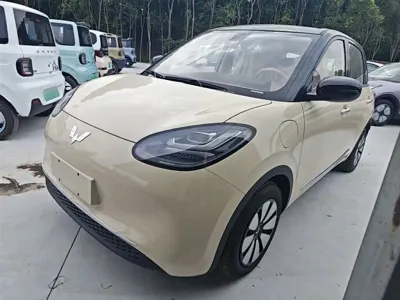 Wuling Bingo