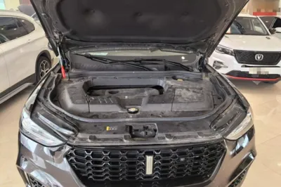 WEY VV6