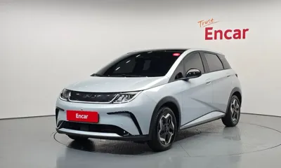 BYD Dolphin