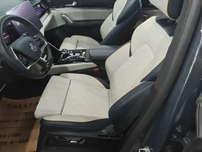 BYD Tang New Energy