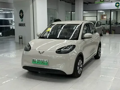 Wuling Bingo