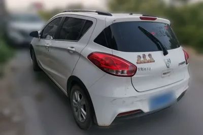 Baojun 310