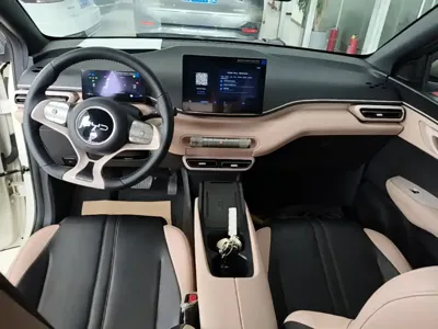 BYD Seagull