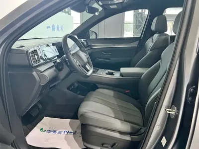 BYD Pro New Energy