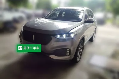 WEY VV6