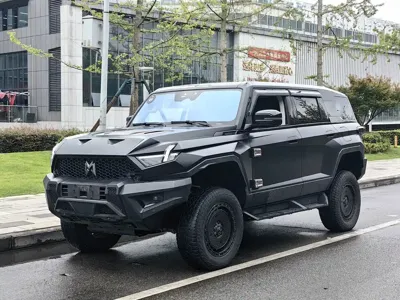 Mengshi Mengshi 917