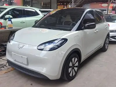 Wuling Bingo